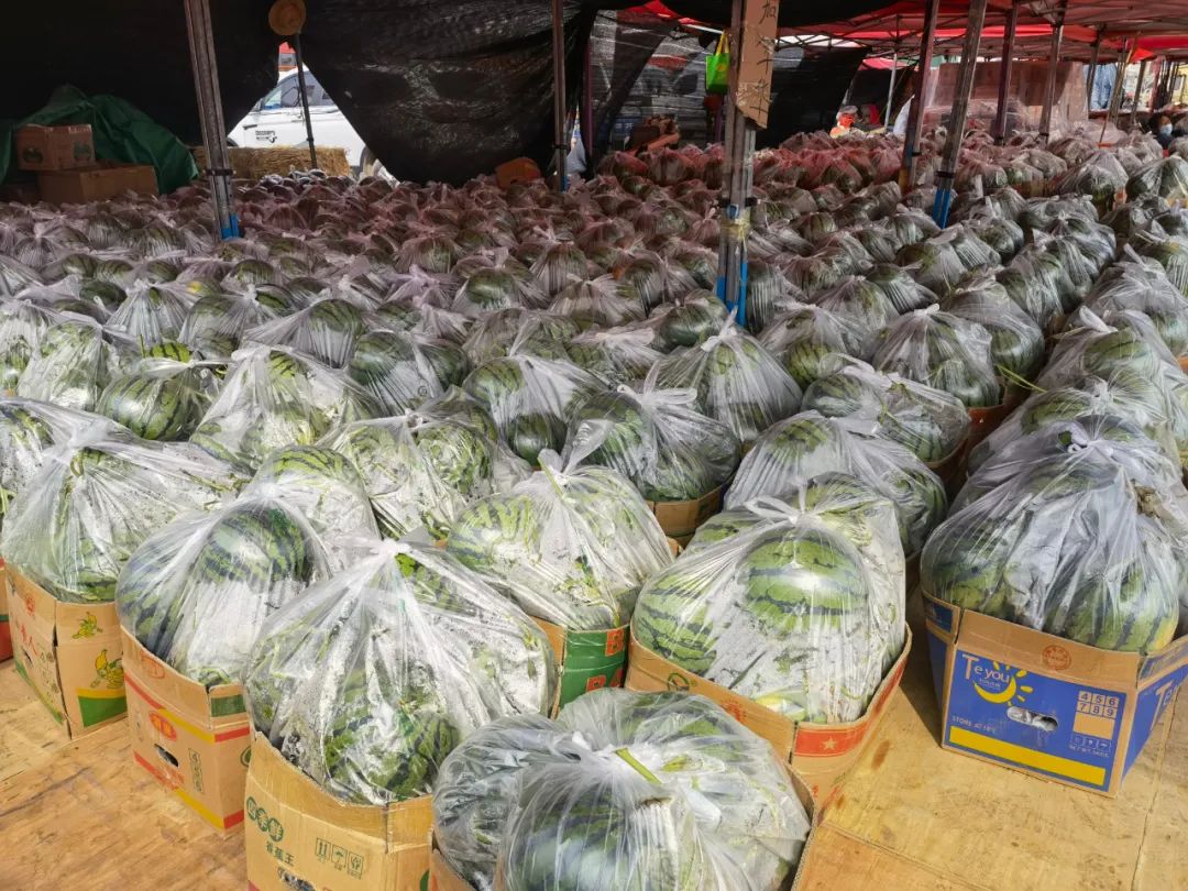 吃瓜群众集合!夏天的第一口西瓜可以安排了 吃瓜群众集合!夏天的第一口西瓜可以安排了