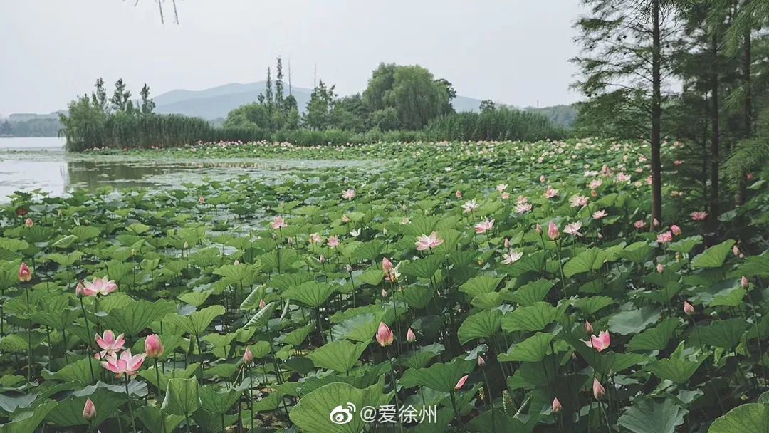 知道徐州这周有多热吗？最高气温34℃！这些事你必须要安排上了