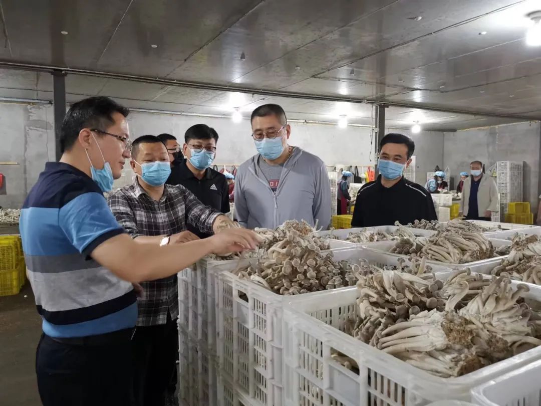 产销对接,精准帮扶--市场与睢宁食用菌基地签订产销协议 产销对接,精准帮扶--市场与睢宁食用菌基地签订产销协议