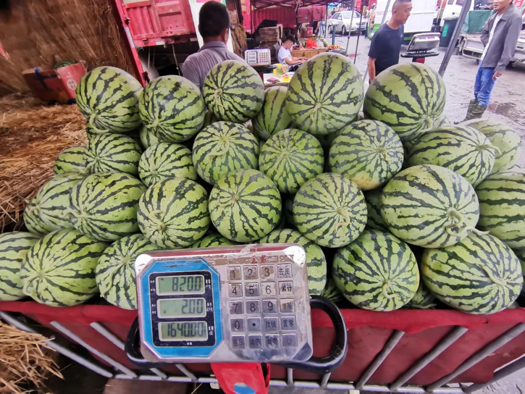 恋爱有多甜,有这里的水果甜吗? 恋爱有多甜,有这里的水果甜吗?