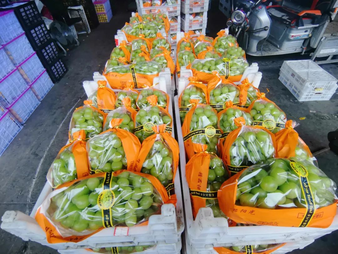 恋爱有多甜,有这里的水果甜吗? 恋爱有多甜,有这里的水果甜吗?