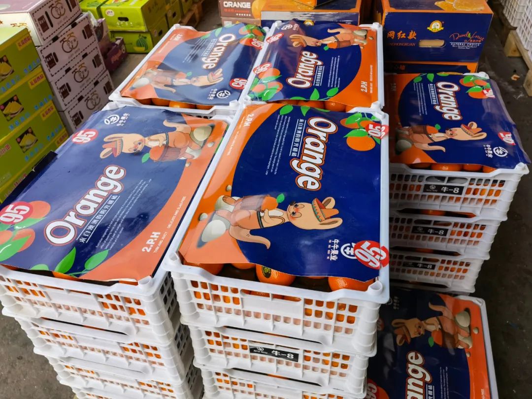 鲜果推荐 | 快来品一品春天的好味道 鲜果推荐 | 快来品一品春天的好味道