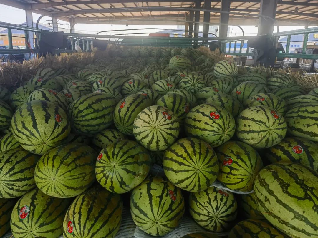 瓜之大，一人吃不下