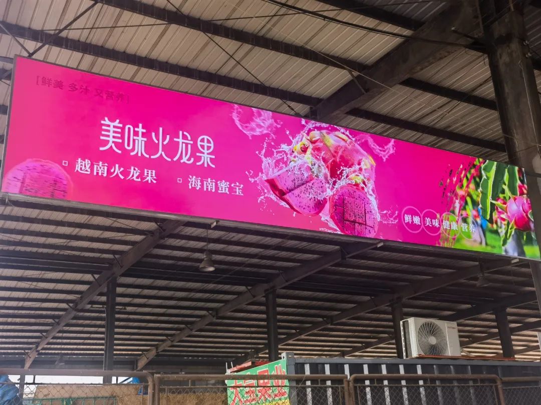 甜蜜开柜!三地火龙果“火红”开售~ 甜蜜开柜!三地火龙果“火红”开售~