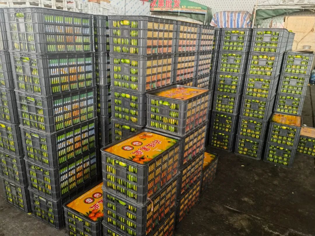 寻乌蜜桔新鲜上市!告别油腻,甜上心头 寻乌蜜桔新鲜上市!告别油腻,甜上心头