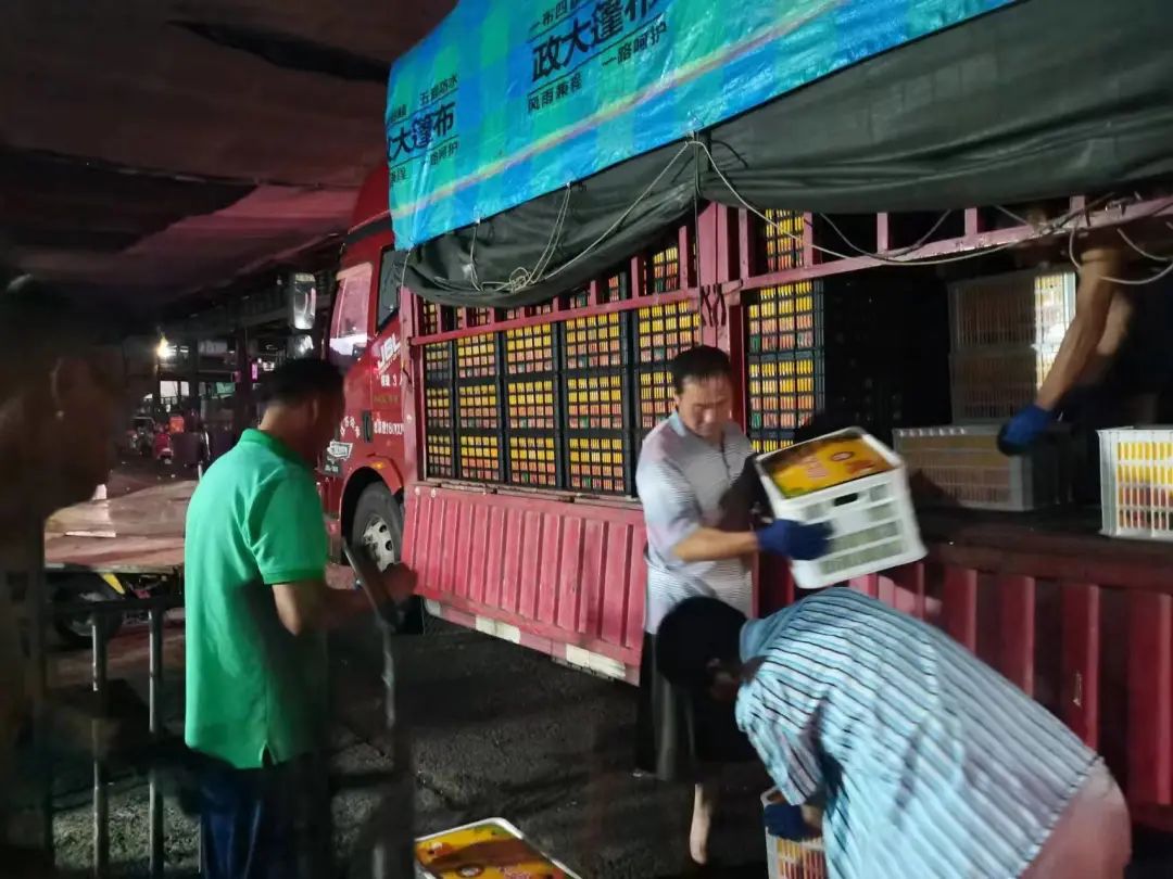 寻乌蜜桔新鲜上市!告别油腻,甜上心头 寻乌蜜桔新鲜上市!告别油腻,甜上心头