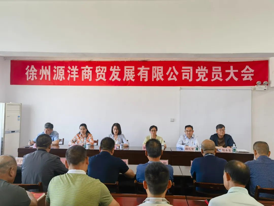 新起点 新起航 踔厉奋发谱新篇—中共徐州源洋商贸发展有限公司召开党员大会 新起点 新起航 踔厉奋发谱新篇—中共徐州源洋商贸发展有限公司召开党员大会
