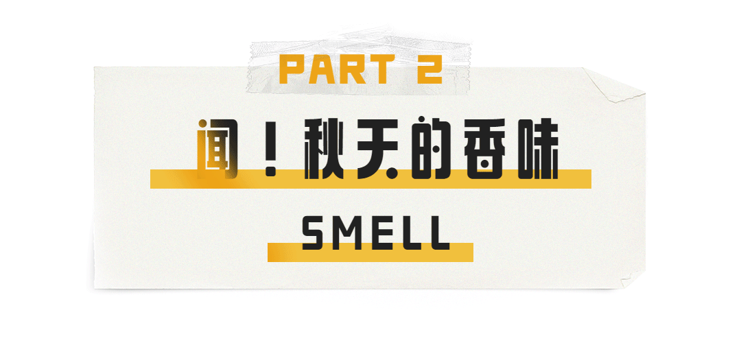 氛围感拉满!农批市场“秋味”浓 氛围感拉满!农批市场“秋味”浓