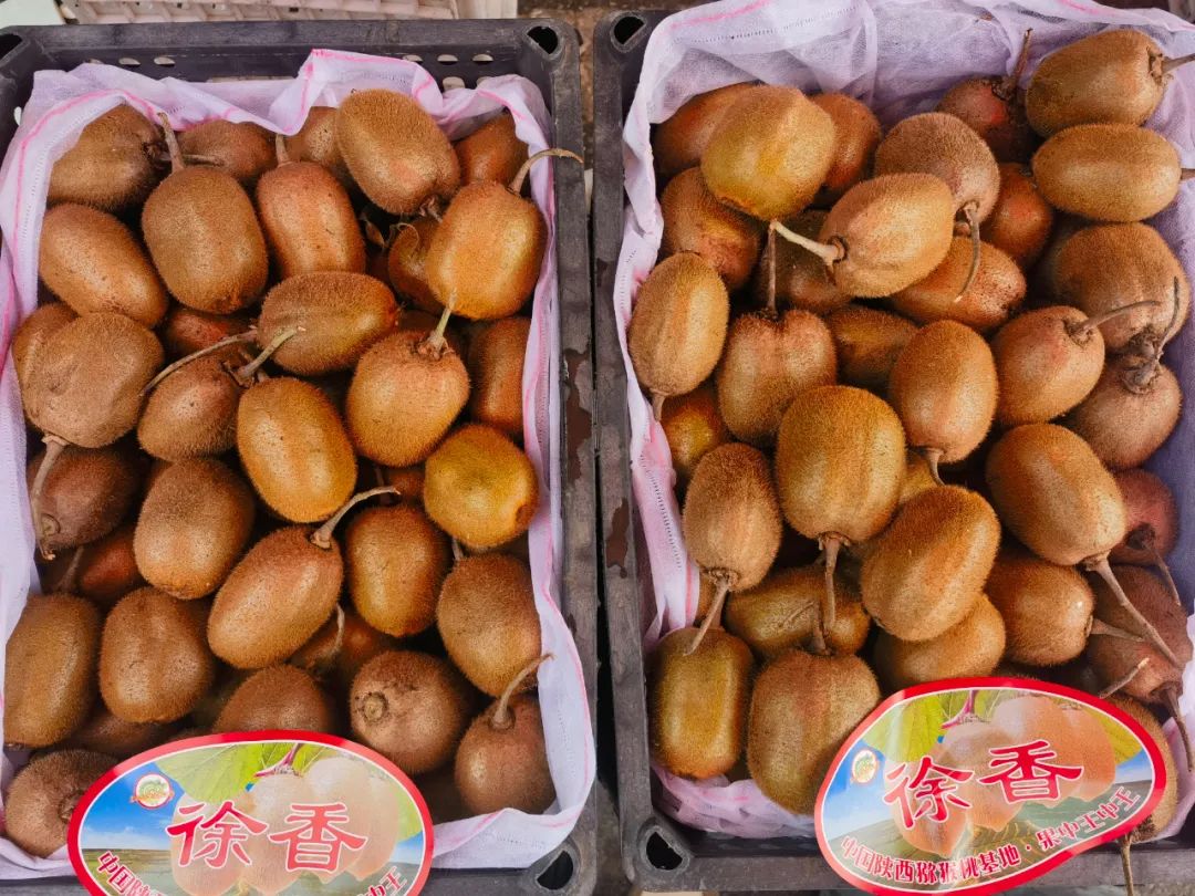 叮咚~中秋限定已更新! 叮咚~中秋限定已更新!