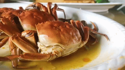 食欲之秋,怎可无蟹? 食欲之秋,怎可无蟹?