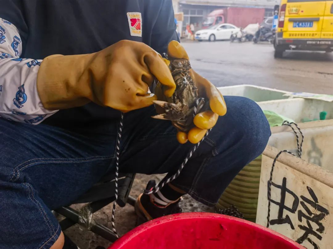 食欲之秋,怎可无蟹? 食欲之秋,怎可无蟹?