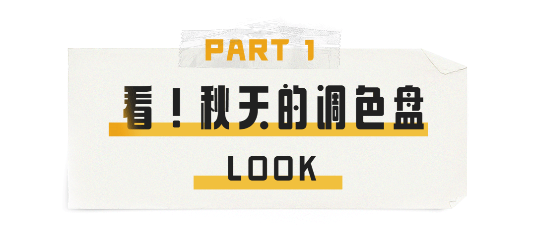 氛围感拉满!农批市场“秋味”浓 氛围感拉满!农批市场“秋味”浓