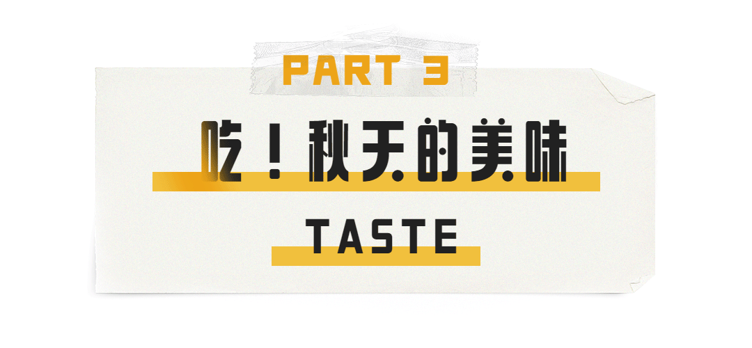 氛围感拉满!农批市场“秋味”浓 氛围感拉满!农批市场“秋味”浓