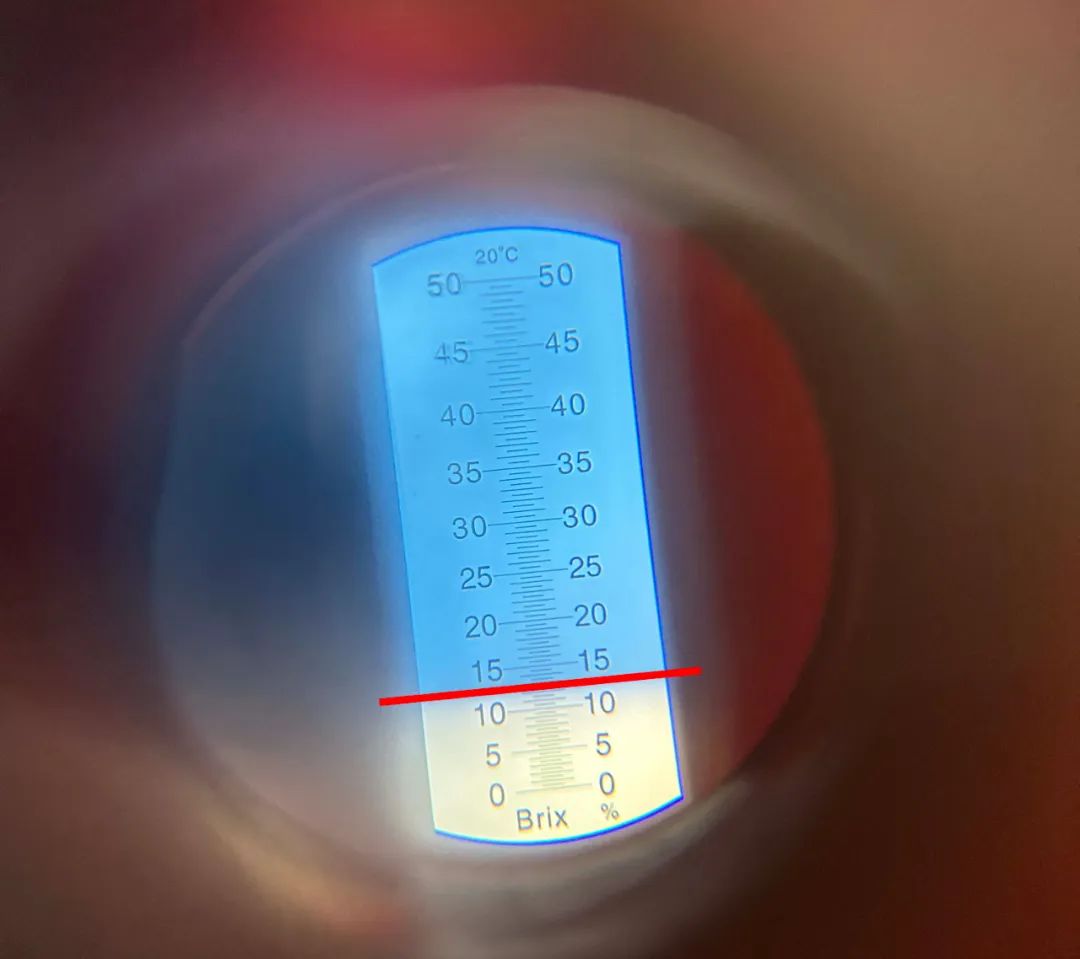 拒绝油腻!来点小清新~酸甜多汁的多彩小番茄来啦 拒绝油腻!来点小清新~酸甜多汁的多彩小番茄来啦