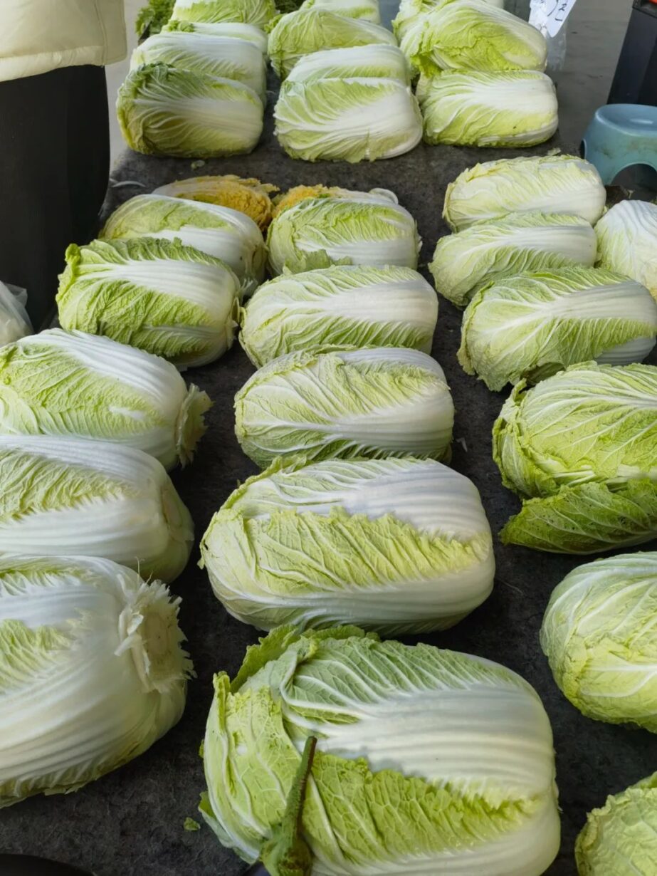 “冬储菜”供应足,“菜篮子”拎得稳 “冬储菜”供应足,“菜篮子”拎得稳