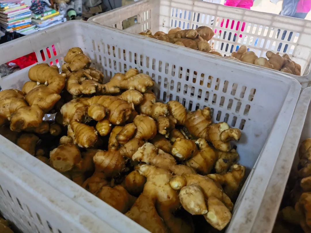 “冬储菜”供应足,“菜篮子”拎得稳 “冬储菜”供应足,“菜篮子”拎得稳