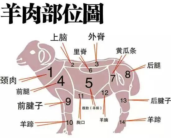 人:天冷了 羊:天塌了 人:天冷了 羊:天塌了
