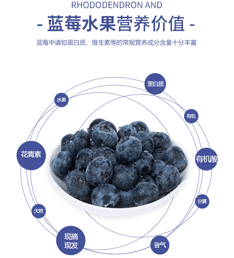 脆、甜、爆汁!冬日蓝莓已上线~ 脆、甜、爆汁!冬日蓝莓已上线~