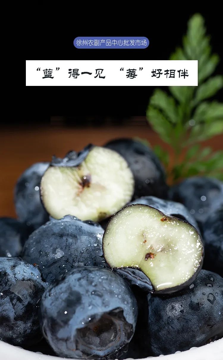 脆、甜、爆汁!冬日蓝莓已上线~ 脆、甜、爆汁!冬日蓝莓已上线~