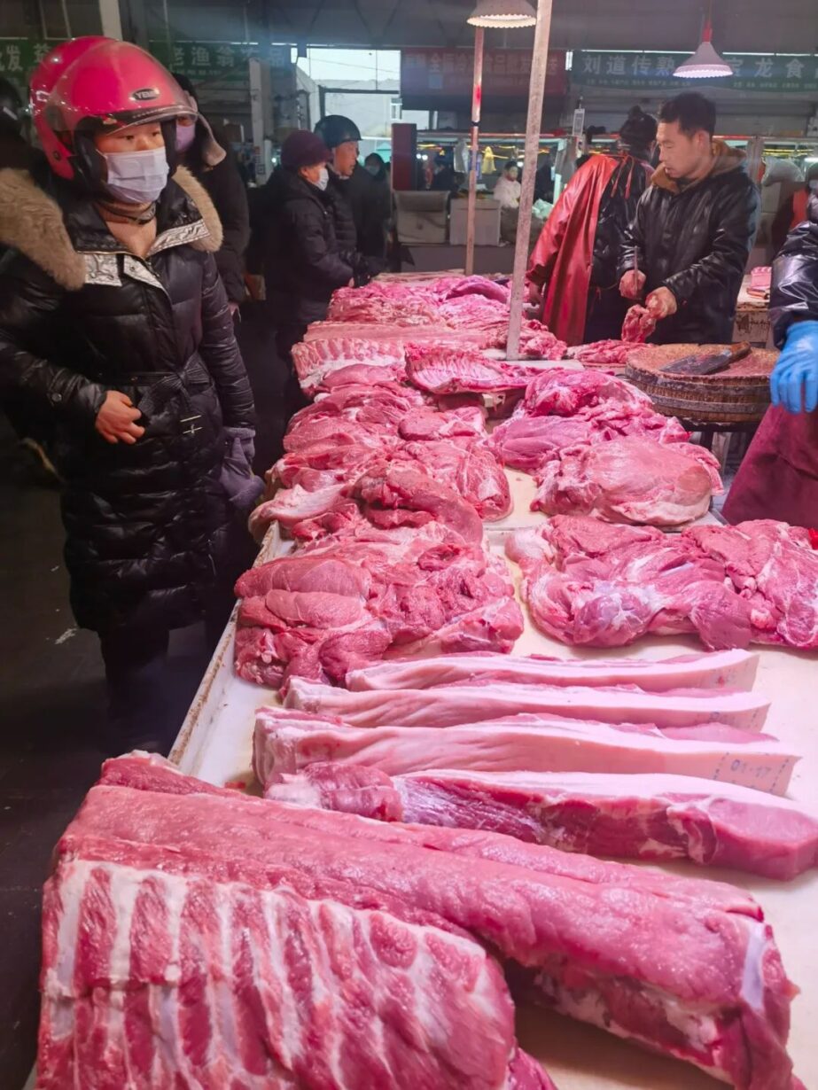 浇给~有了灵魂汁子,你会选择什么肉? 浇给~有了灵魂汁子,你会选择什么肉?