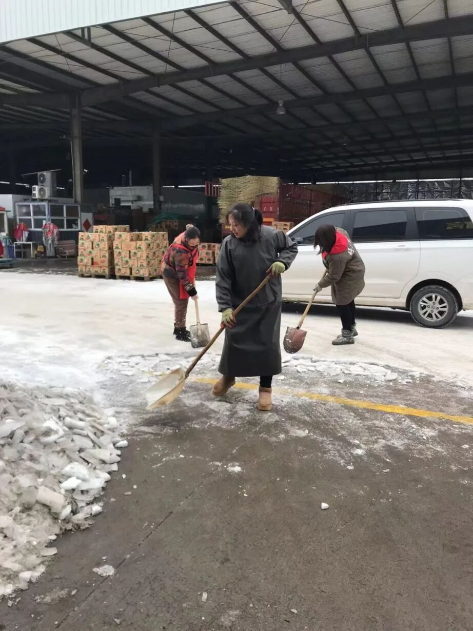 扫雪除冰齐上阵!全体行动保畅通! 扫雪除冰齐上阵!全体行动保畅通!
