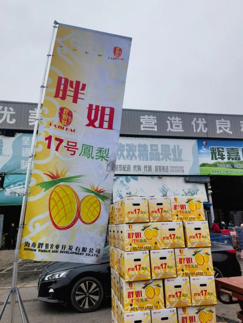 初春凤梨香,甜嫩至果芯 初春凤梨香,甜嫩至果芯