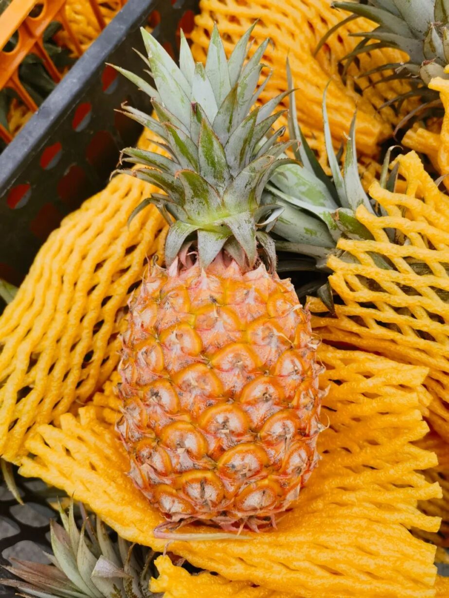 初春凤梨香,甜嫩至果芯 初春凤梨香,甜嫩至果芯