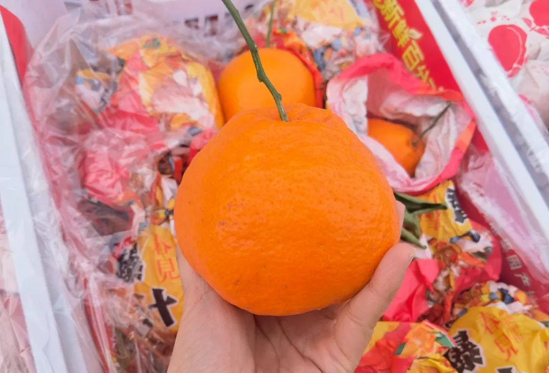 打开,收获春天的问候 打开,收获春天的问候