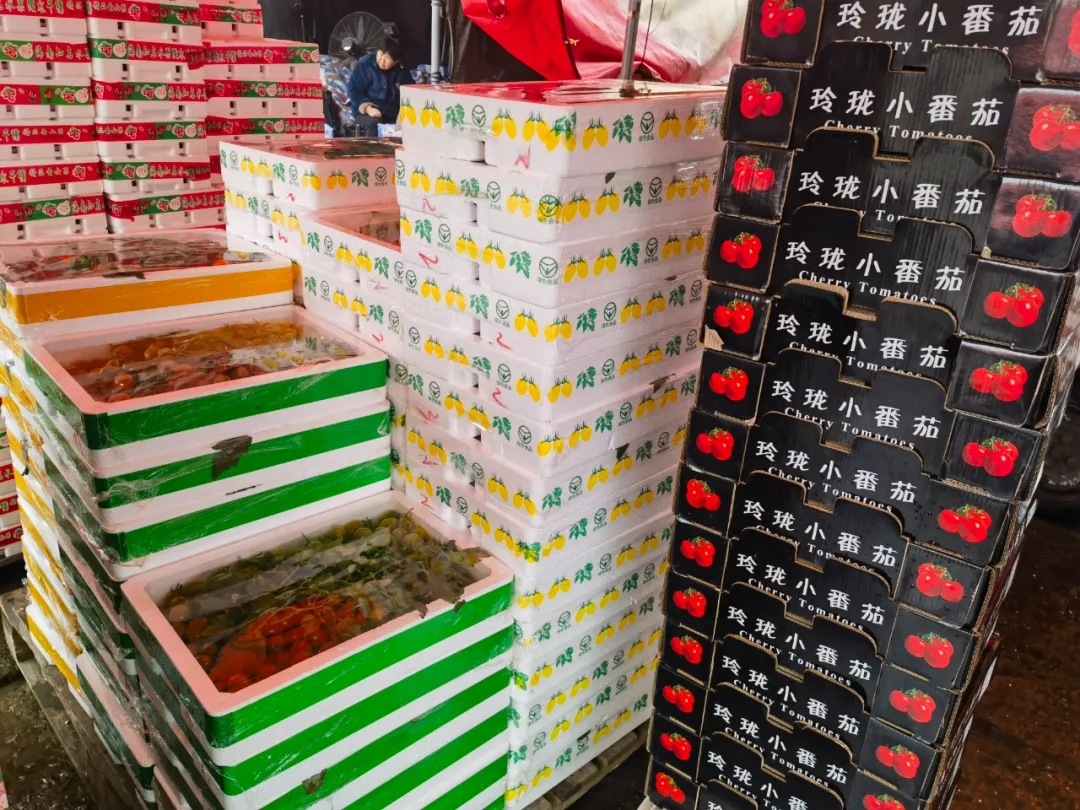 小番茄炫彩上市!来一场舌尖上的色彩盛宴吧 小番茄炫彩上市!来一场舌尖上的色彩盛宴吧