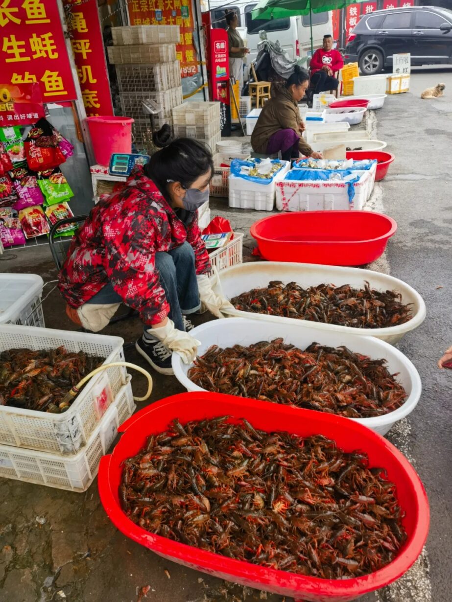 最低个位数！小龙虾“身价”暴跌