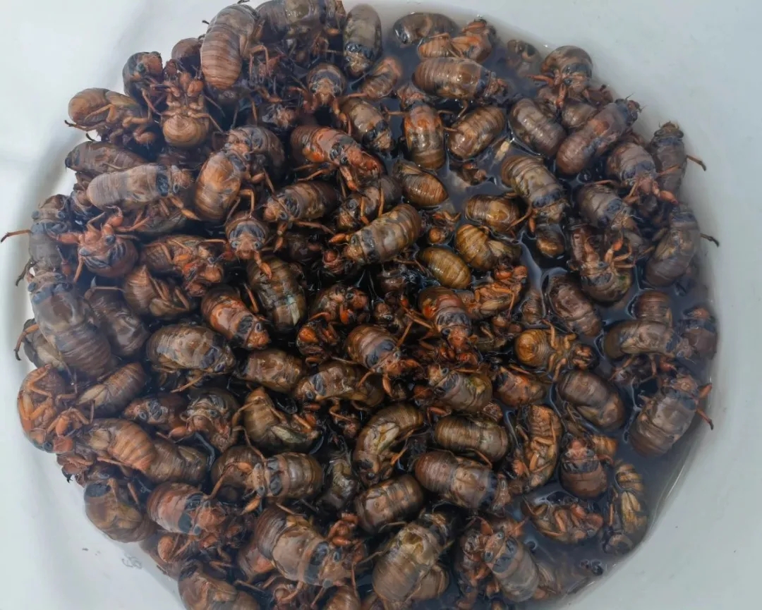 满满的儿时回忆~外地人看不懂的徐州美食上市啦！
