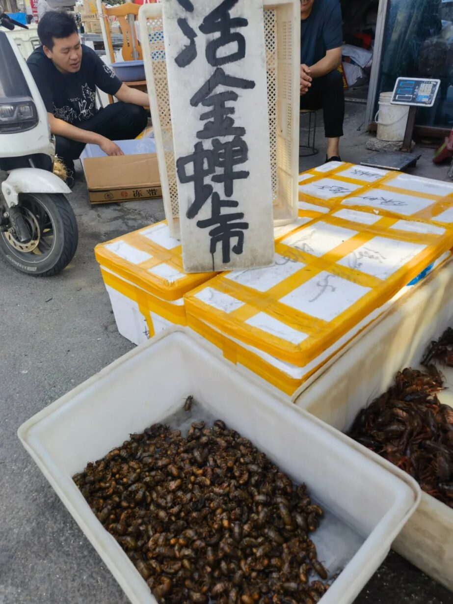 满满的儿时回忆~外地人看不懂的徐州美食上市啦! 满满的儿时回忆~外地人看不懂的徐州美食上市啦!