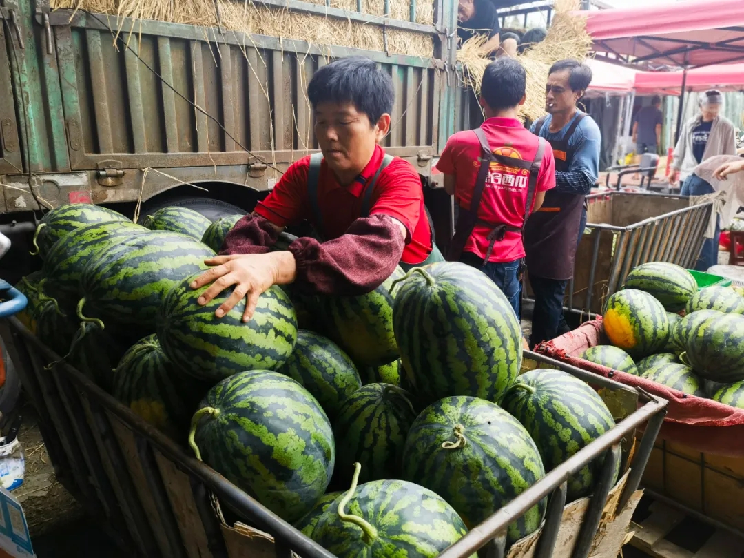 “甜蜜”正当时!夏日水果陆续“上新”了 “甜蜜”正当时!夏日水果陆续“上新”了
