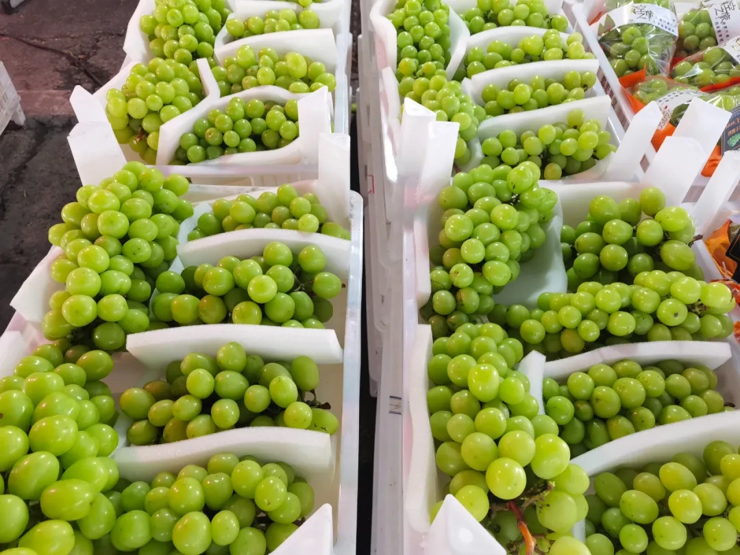 “甜蜜”正当时!夏日水果陆续“上新”了 “甜蜜”正当时!夏日水果陆续“上新”了