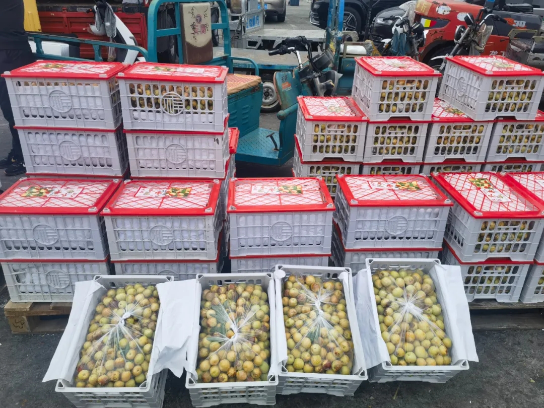 全面蓄势战中秋!火力全开抢占中秋购销旺季 全面蓄势战中秋!火力全开抢占中秋购销旺季