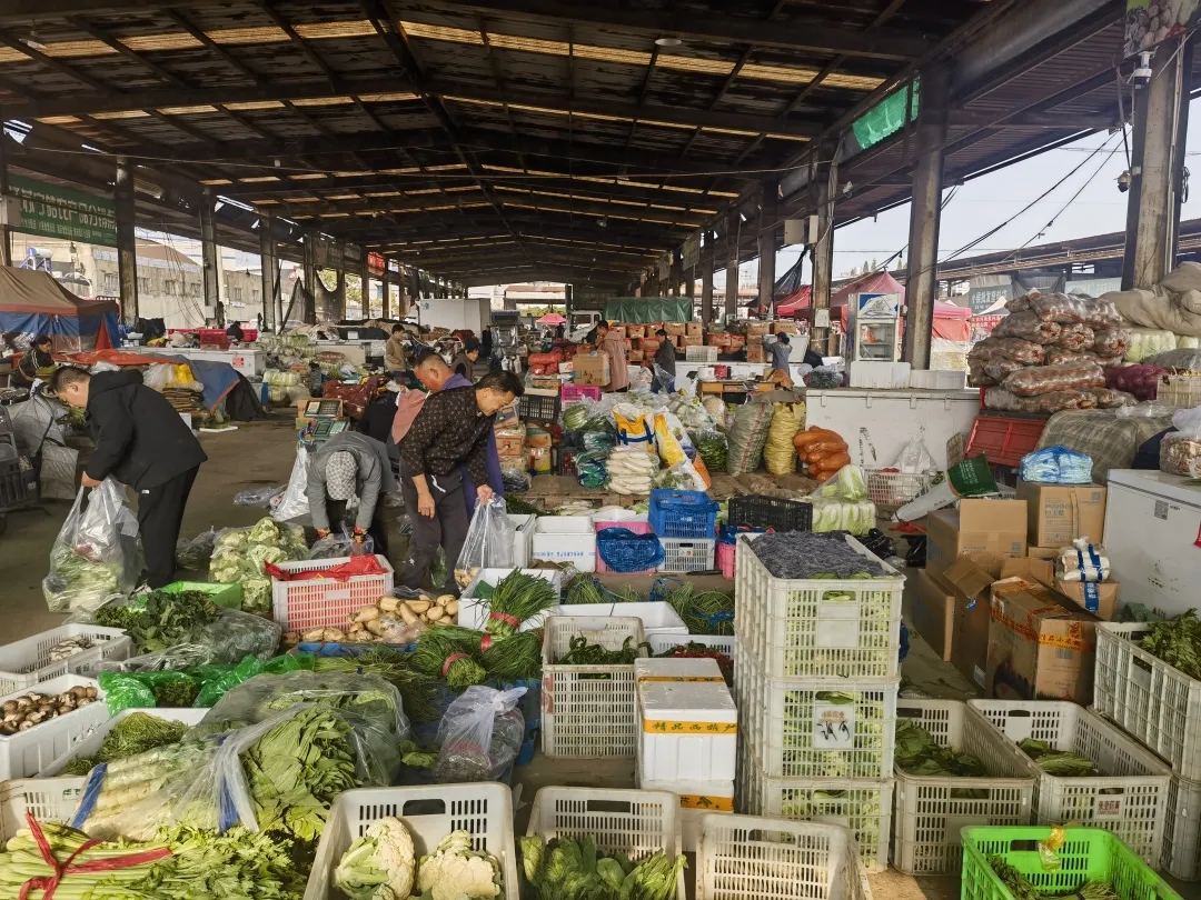 本地菜大量上市 菜价“退烧”了 本地菜大量上市 菜价“退烧”了