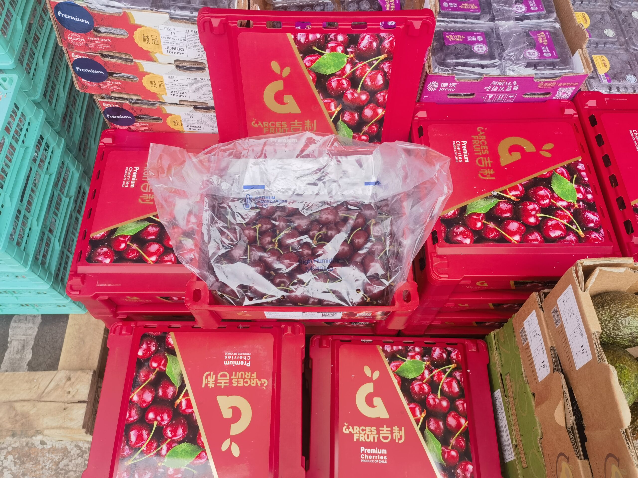 “秋冬顶流”“抢鲜”登场