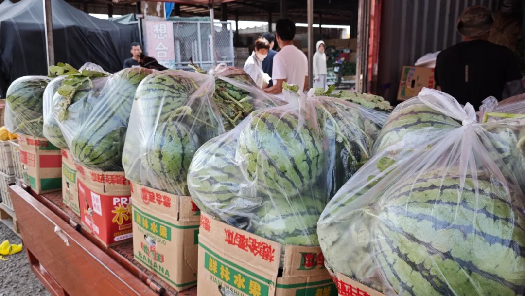 这“夏”,这份【吃瓜】宝典请笑纳! 这“夏”,这份【吃瓜】宝典请笑纳!