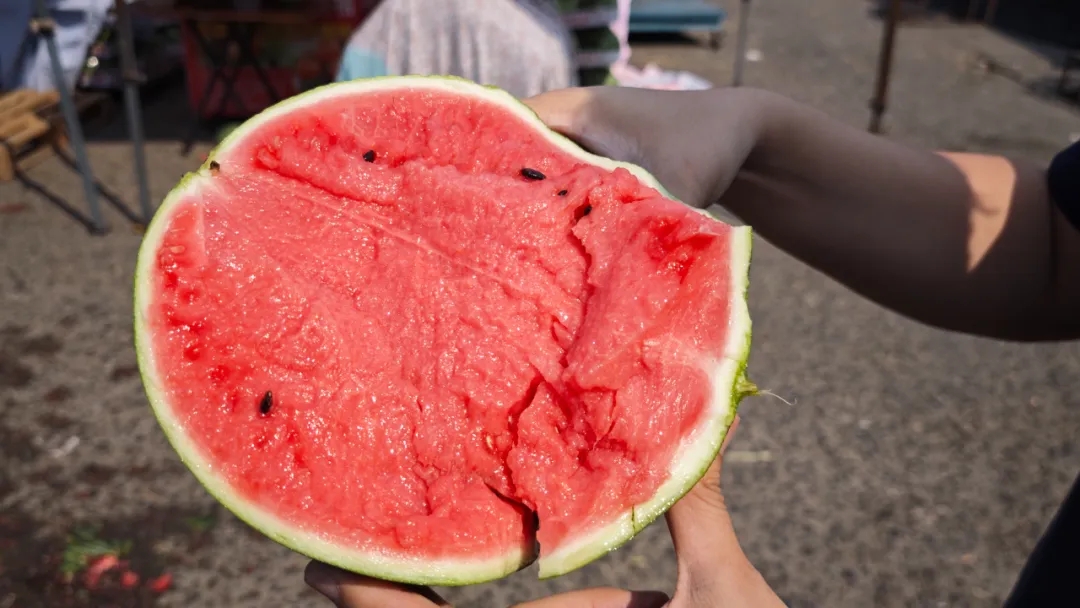 这“夏”,这份【吃瓜】宝典请笑纳! 这“夏”,这份【吃瓜】宝典请笑纳!