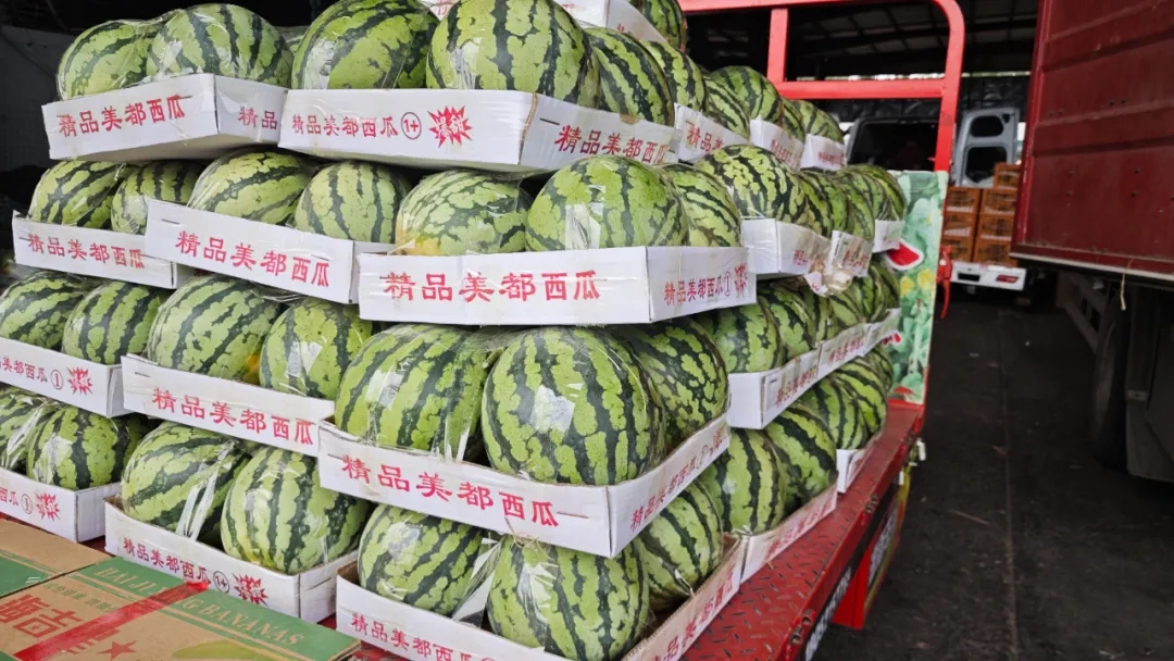 热浪来袭?夏日水果清单已送达~ 热浪来袭?夏日水果清单已送达~