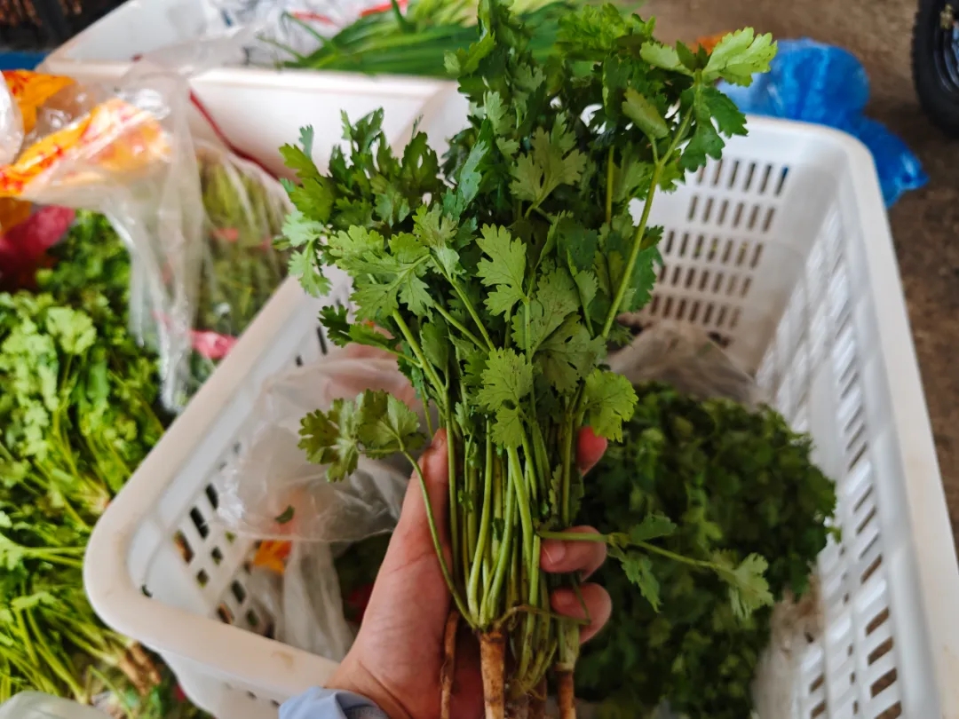 伏天“菜篮子”，稳当！