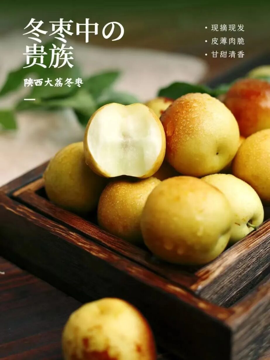 在夏天,爱上冬枣 在夏天,爱上冬枣