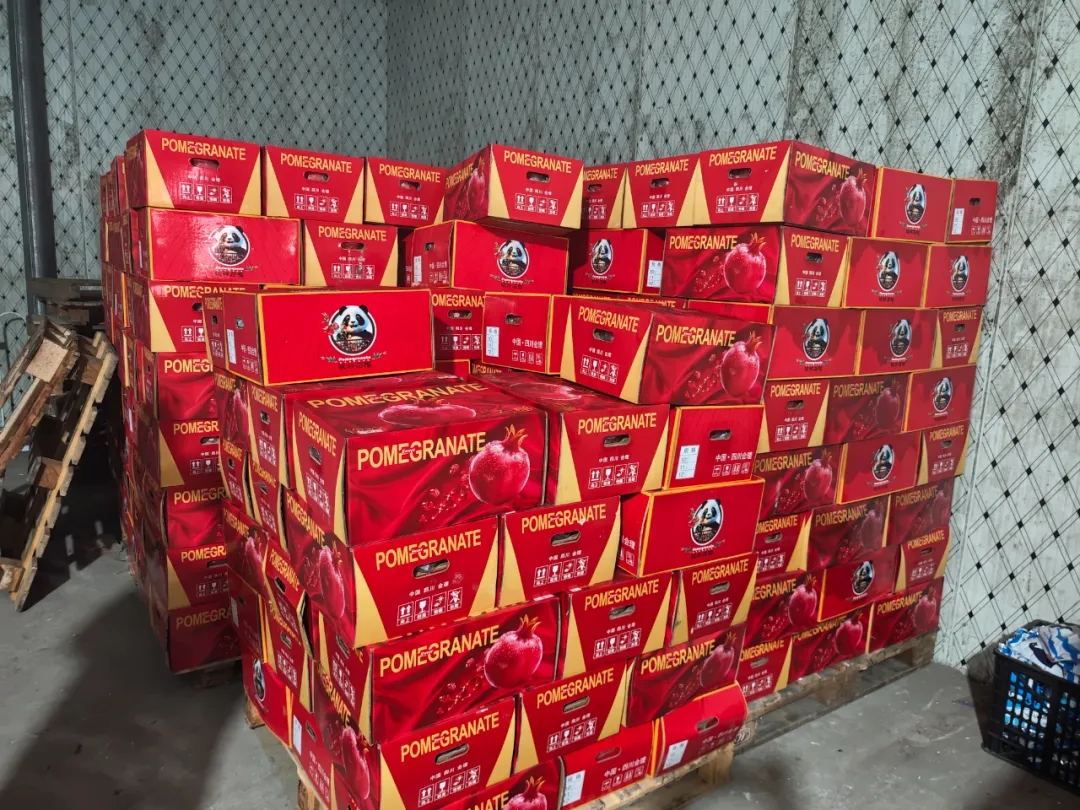 石榴季节来临,尝鲜突尼斯软籽石榴! 石榴季节来临,尝鲜突尼斯软籽石榴!