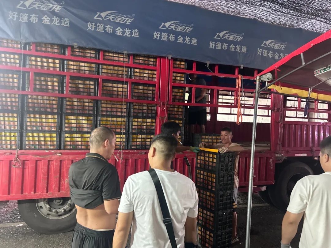 新品推荐 | 秋天的第一口蜜桔,来了 新品推荐 | 秋天的第一口蜜桔,来了