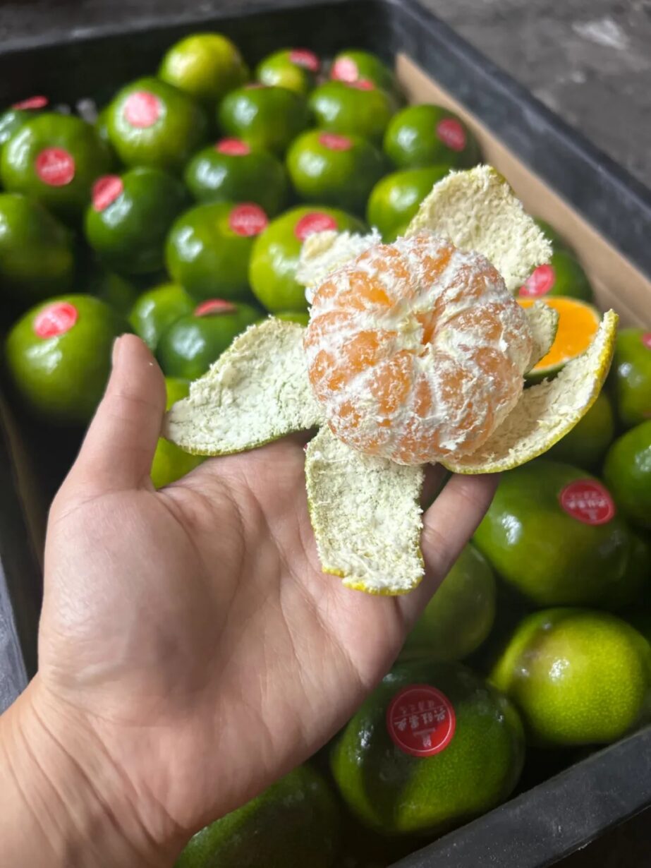 新品推荐 | 秋天的第一口蜜桔,来了 新品推荐 | 秋天的第一口蜜桔,来了