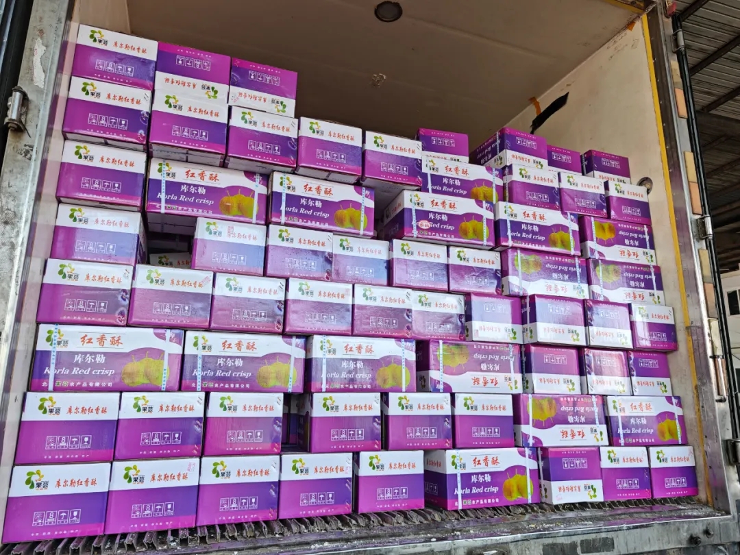 中秋国庆双节至！新客商入驻，助力消费旺季