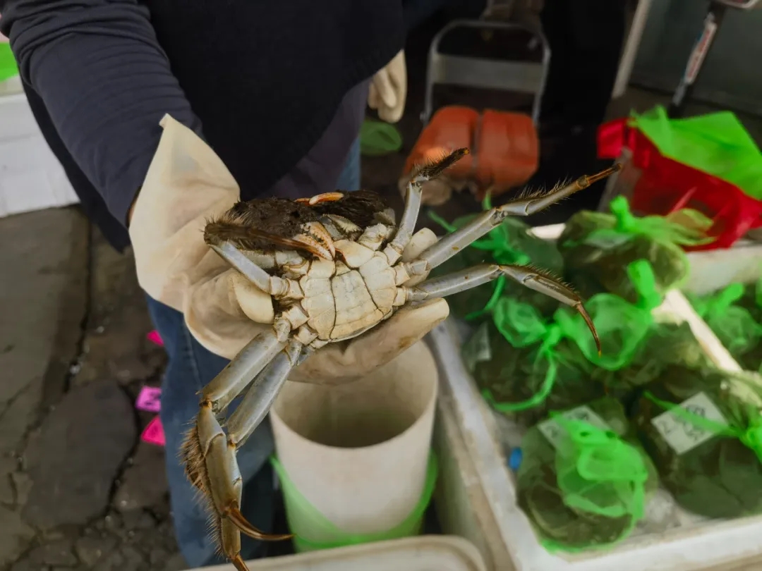🦀逅中秋，一起来品味舌尖上的团圆盛宴