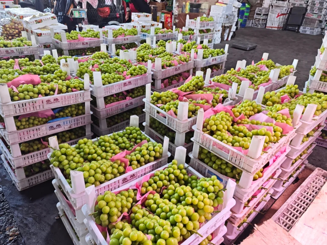 千果百菜迎中秋，货满物丰庆国庆