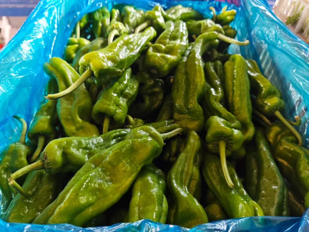 事关“菜篮子”!连日阴雨“浇”高菜价?来看第一手信息 事关“菜篮子”!连日阴雨“浇”高菜价?来看第一手信息
