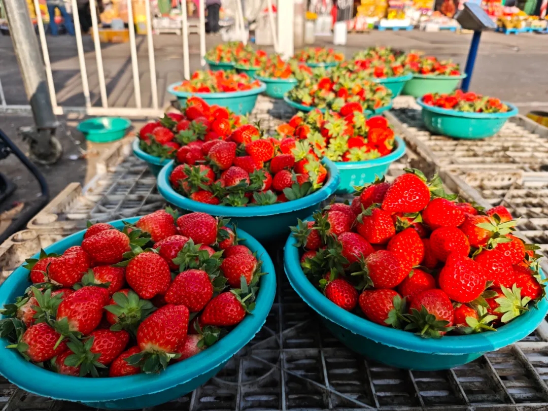 抢“鲜”尝！今年第一批草莓来啦，这里买→